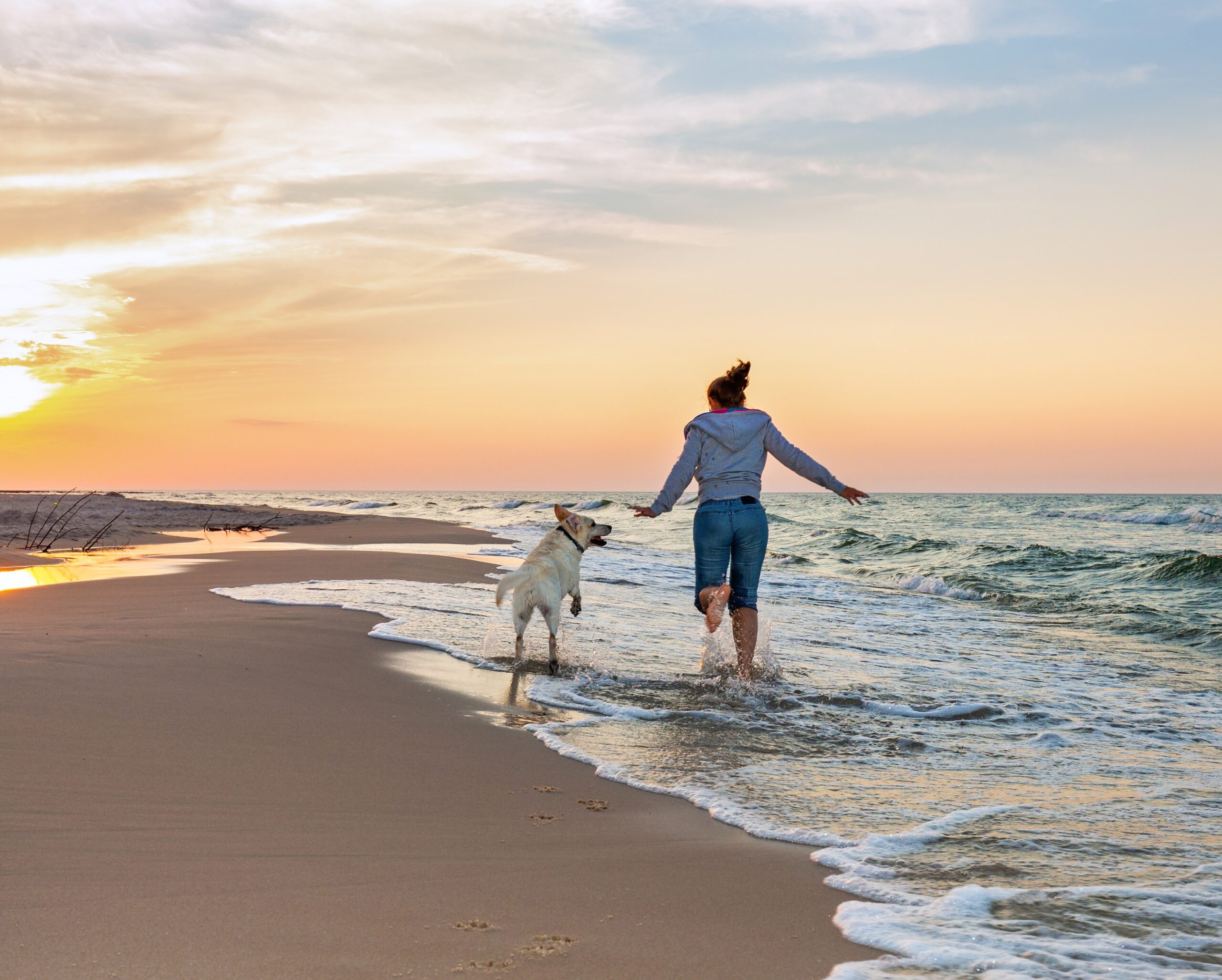 50x40-posters- seletion landscapes with animals Image[7]