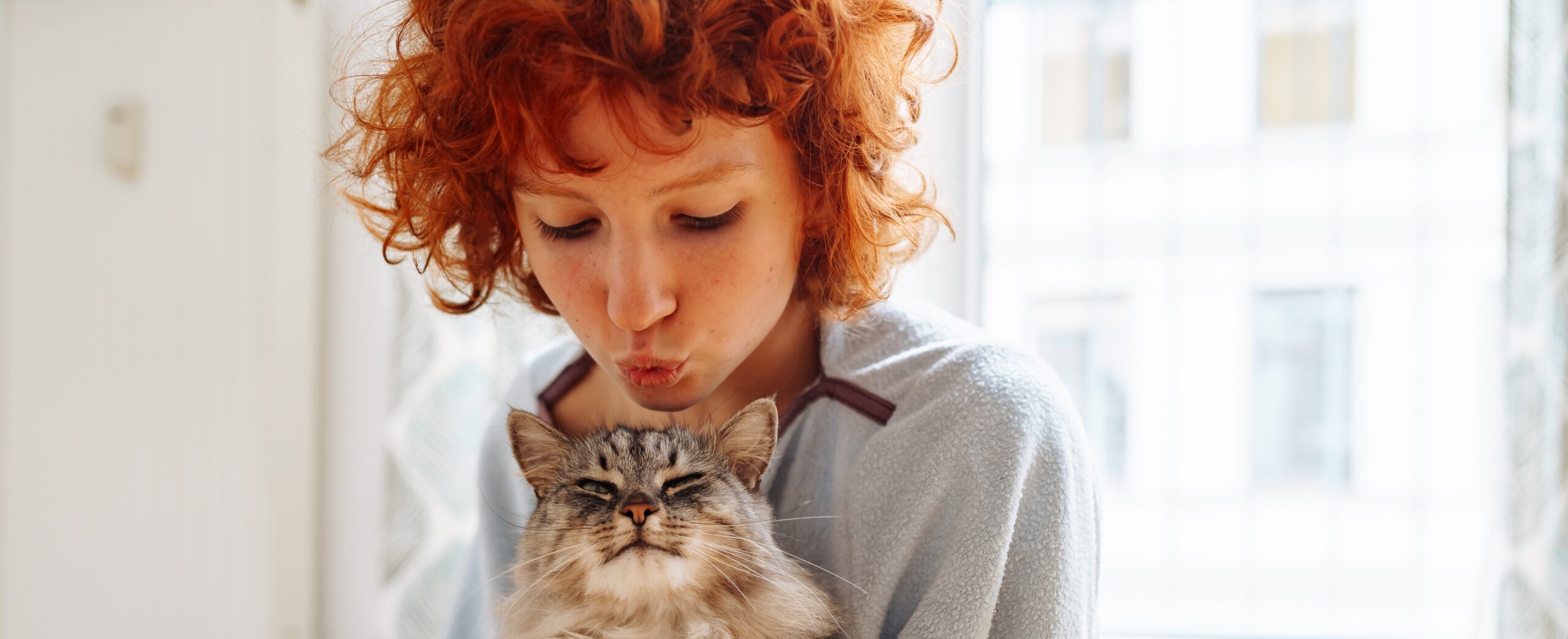 Friendship between domestic cat and pet owner
