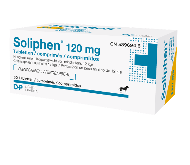 Design sans titre (17)