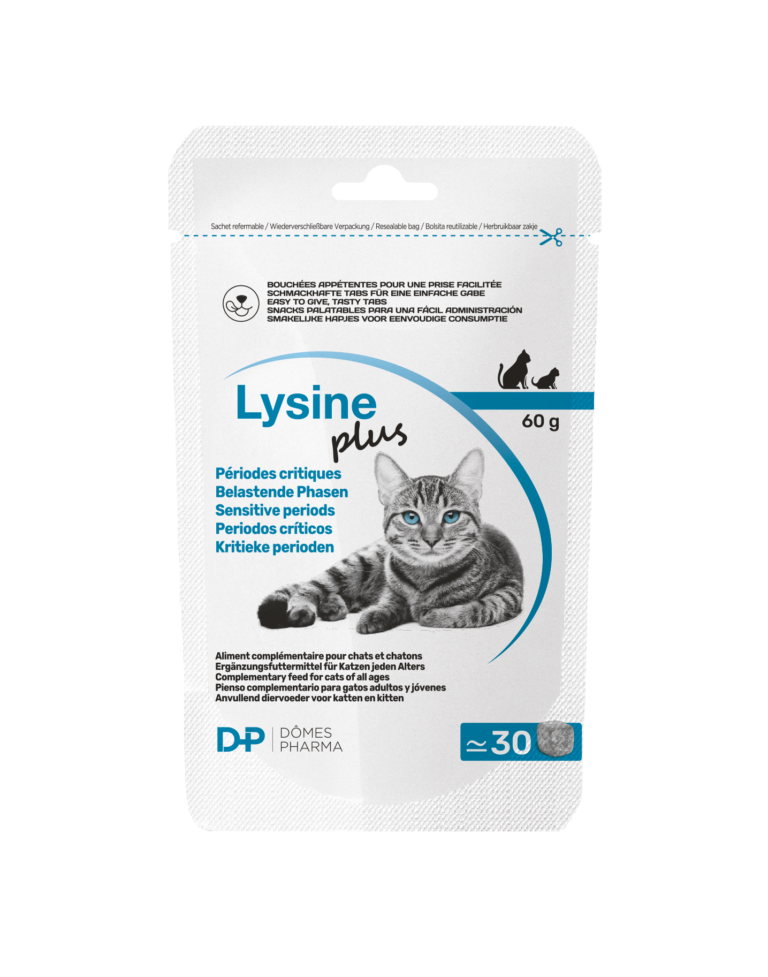 Lysine PLUS
