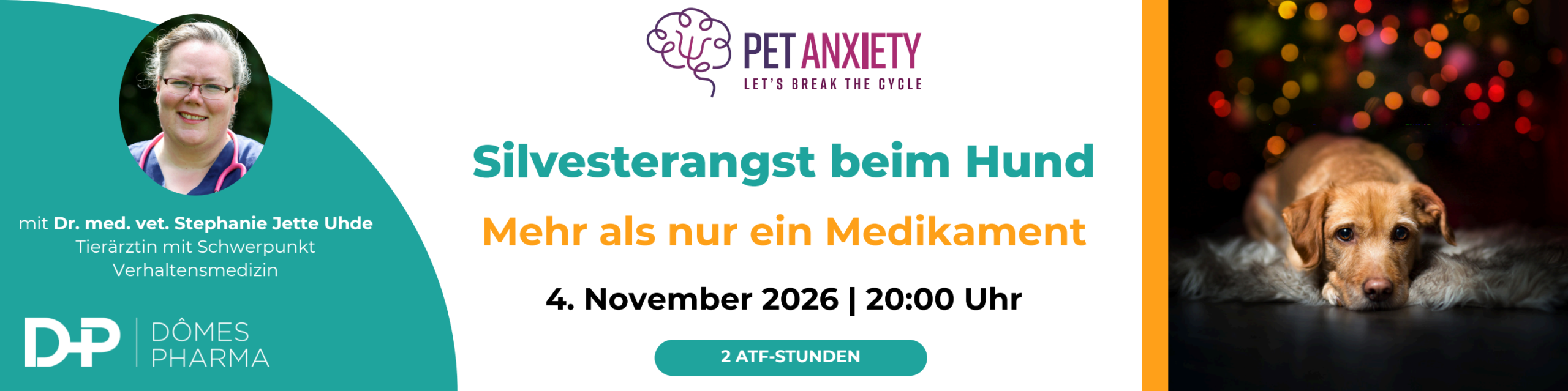 Silvesterangst beim Hund - Mehr als nur ein Medikament