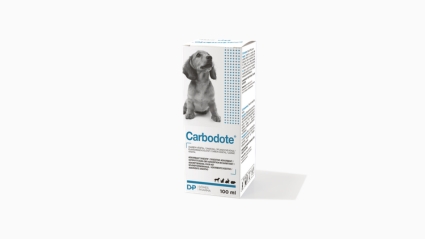 Carbodote® Produktblatt