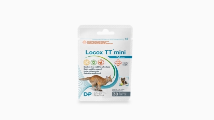Locox® TT Mini Produktblatt